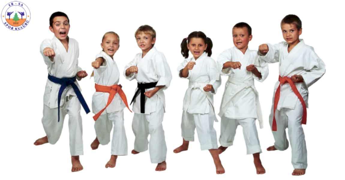 karate-8-10-yas-arasi