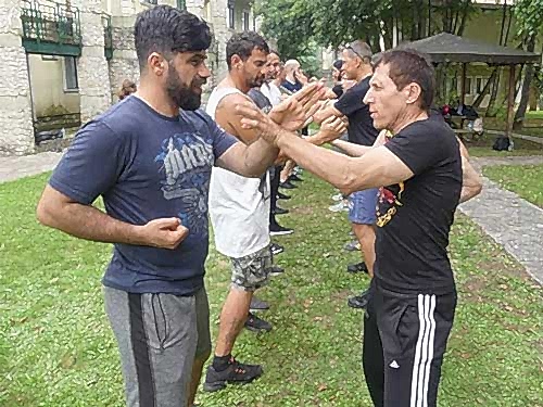MMA Dövüş Sanatı